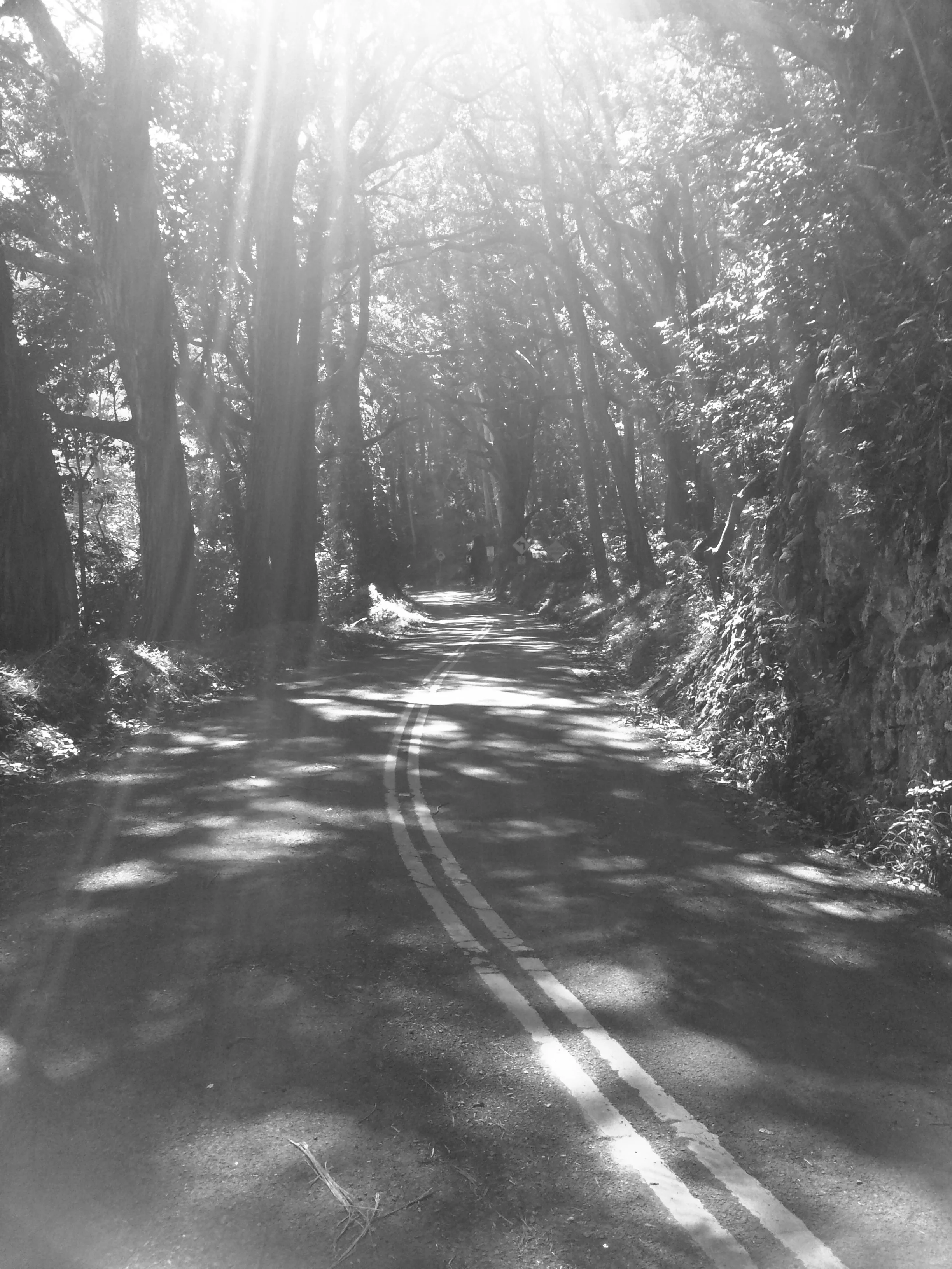 Haiku Rd with The Blades