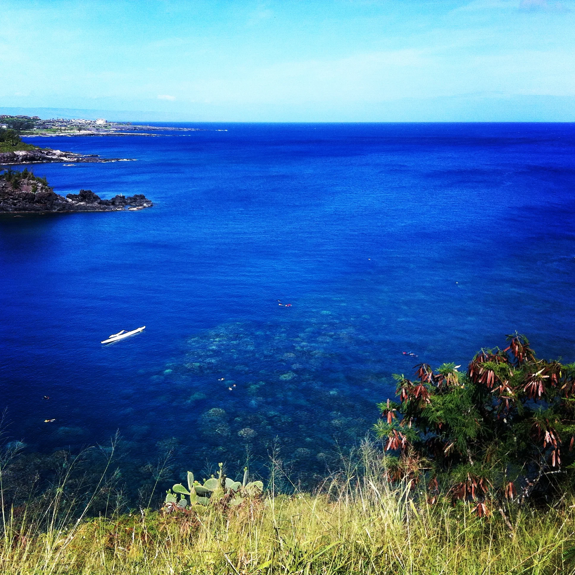 Honolua Bay