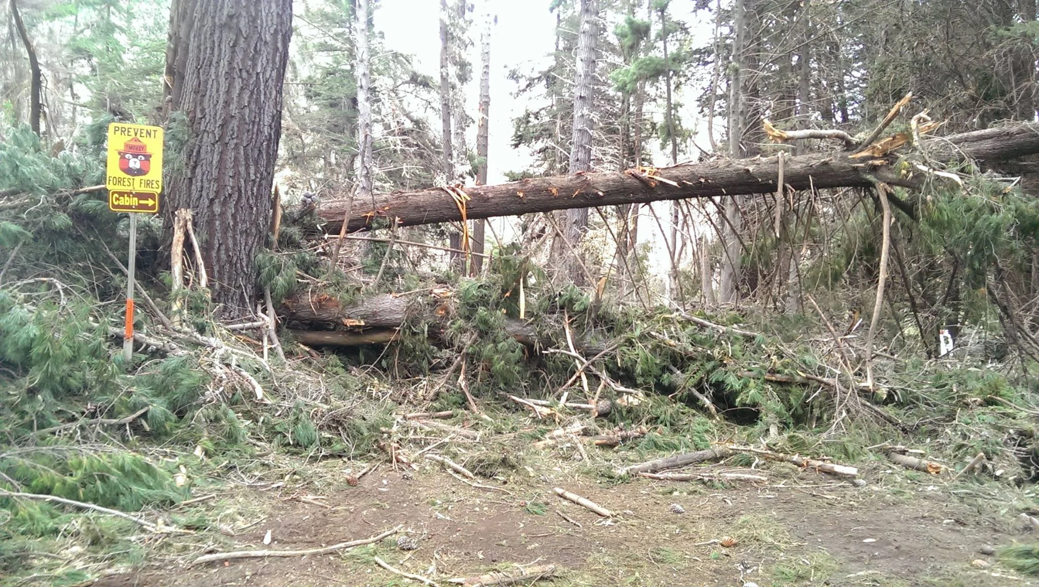 Community Board West Maui Cycles Maui S Best Bike Shop