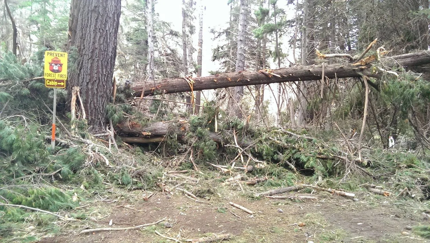 Update - Kula Forest Reserve Reopening 4/2015 