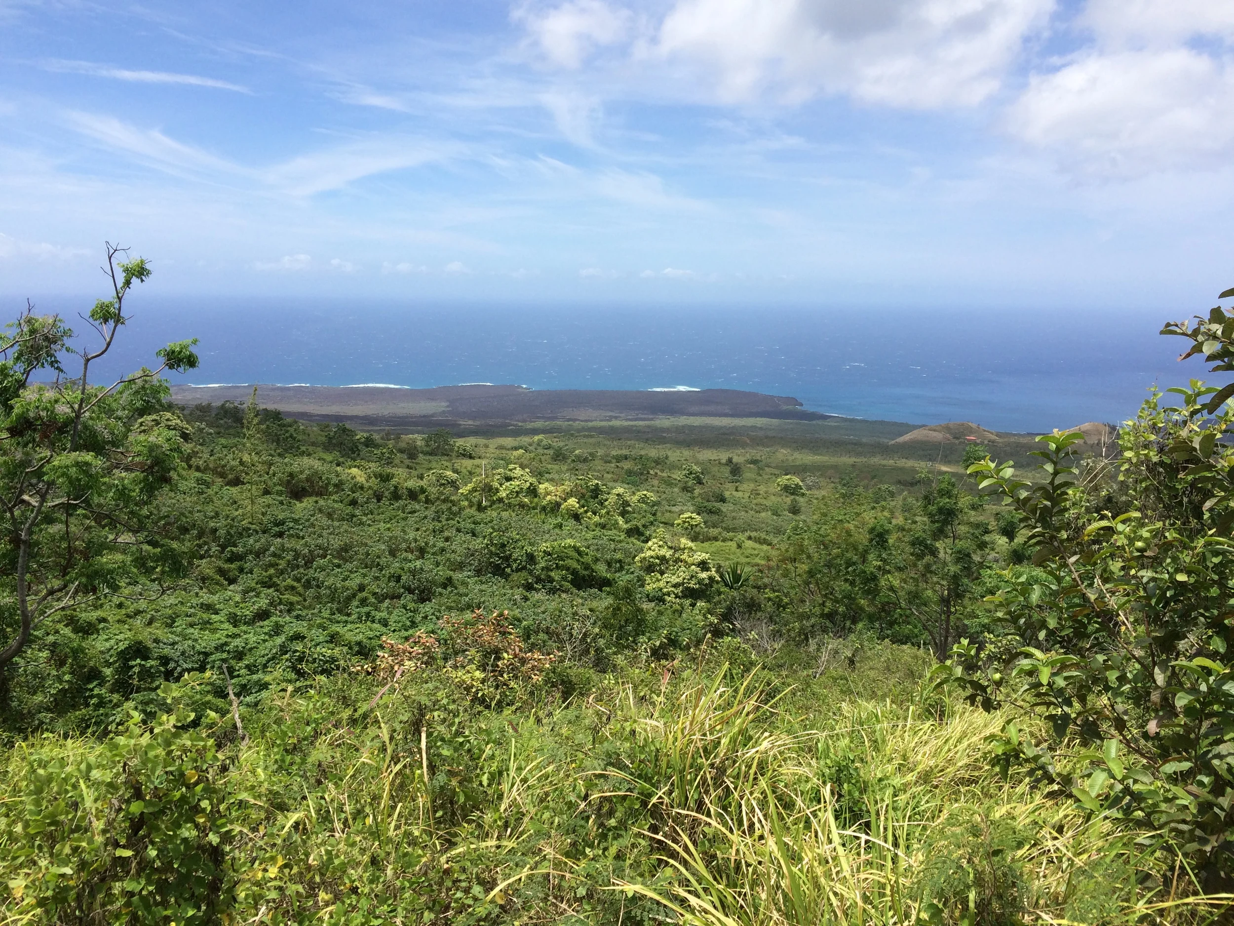 view from mm 17