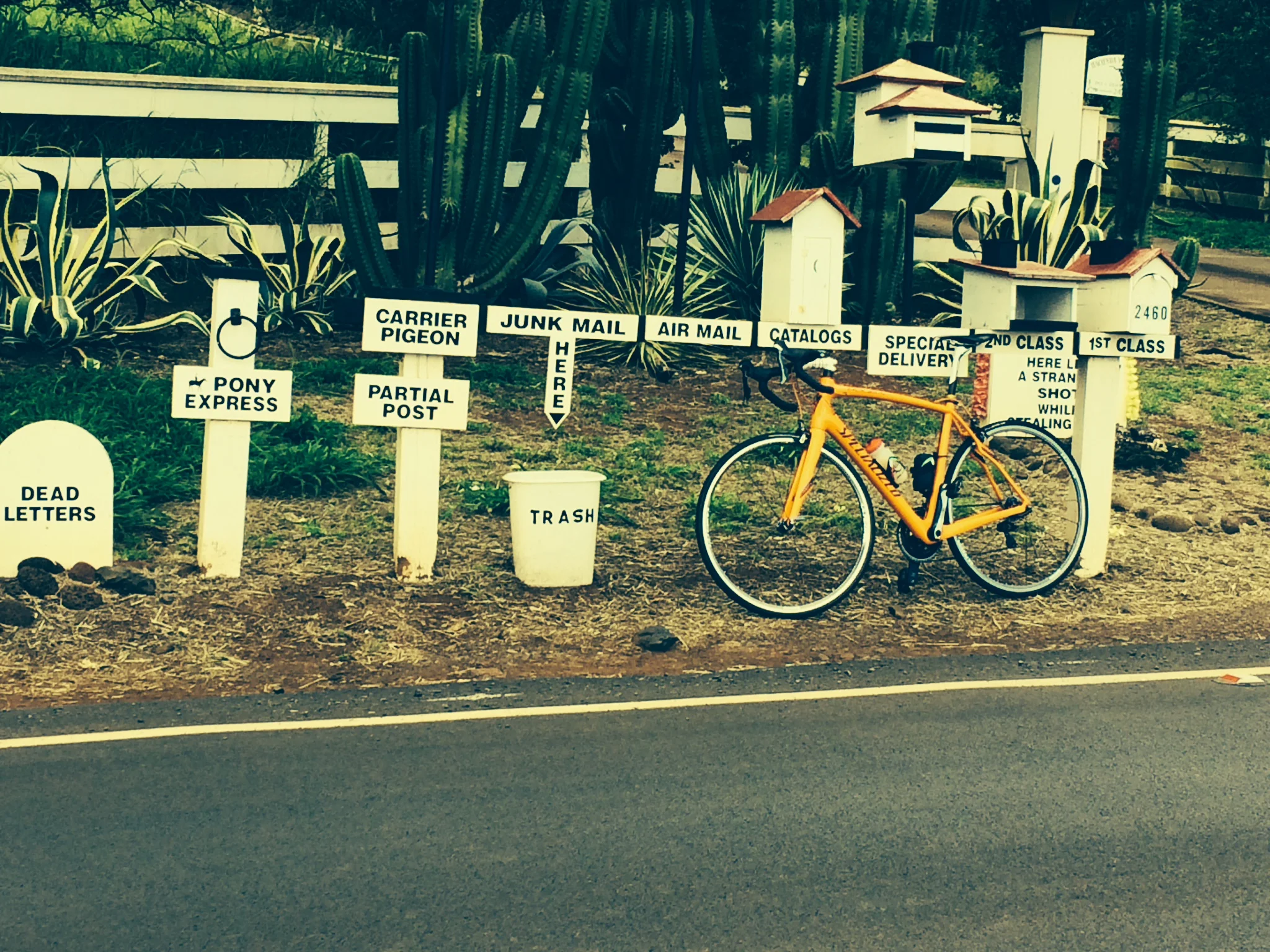 Upcountry Rides