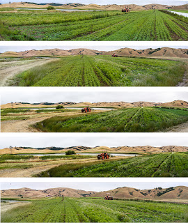 tractor+options.jpg
