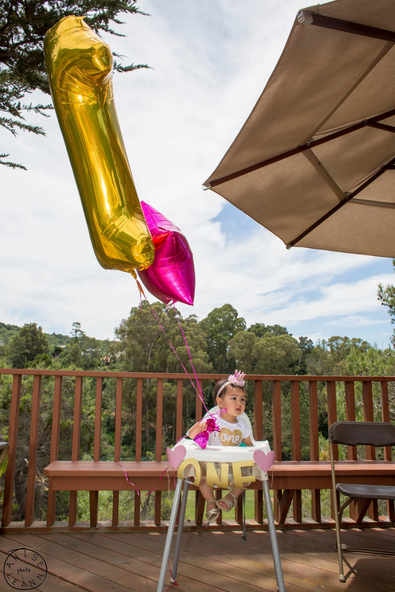 Olive's 1st Birthday Party