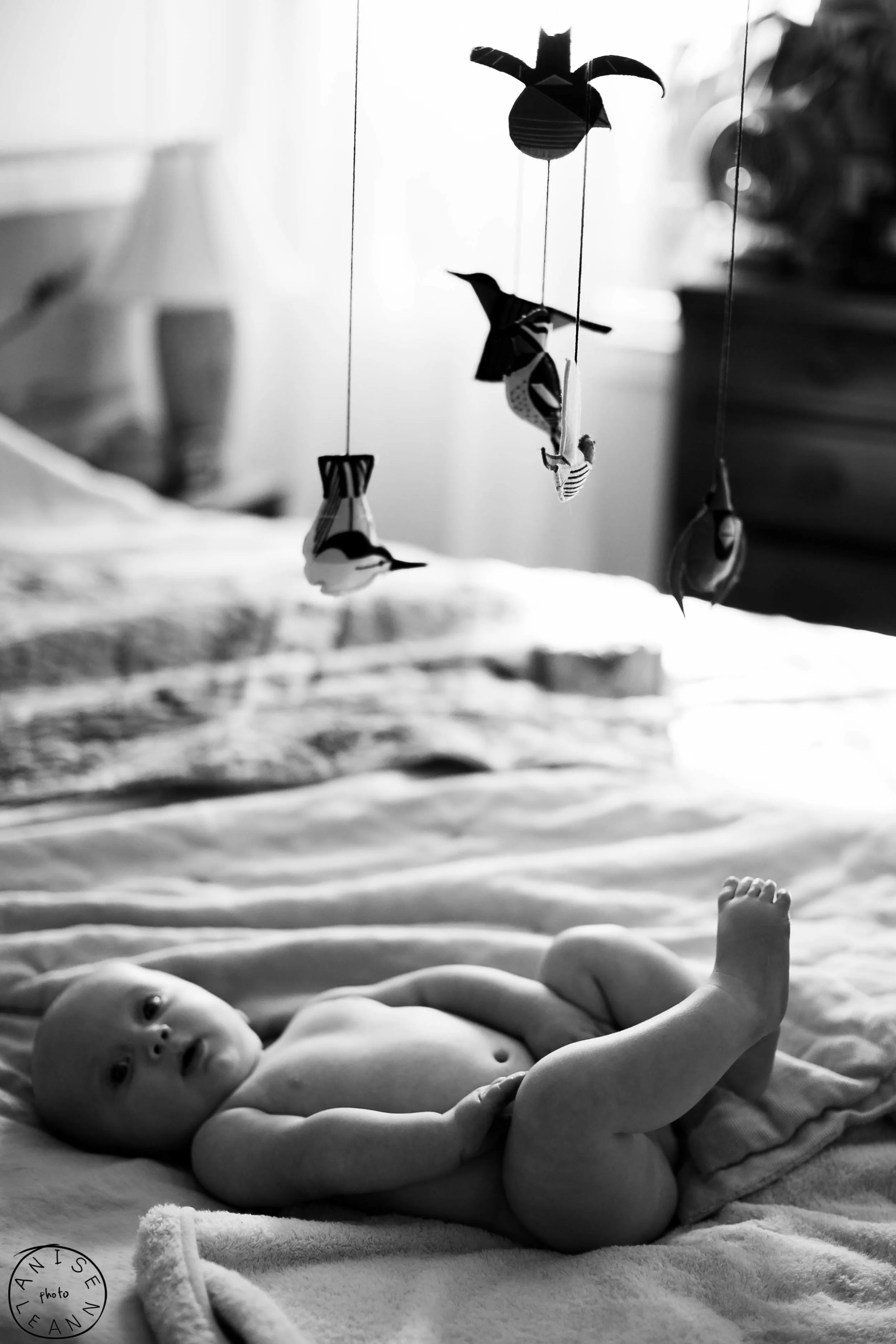 His favorite mobile from land of nod. Thank you Ryan!