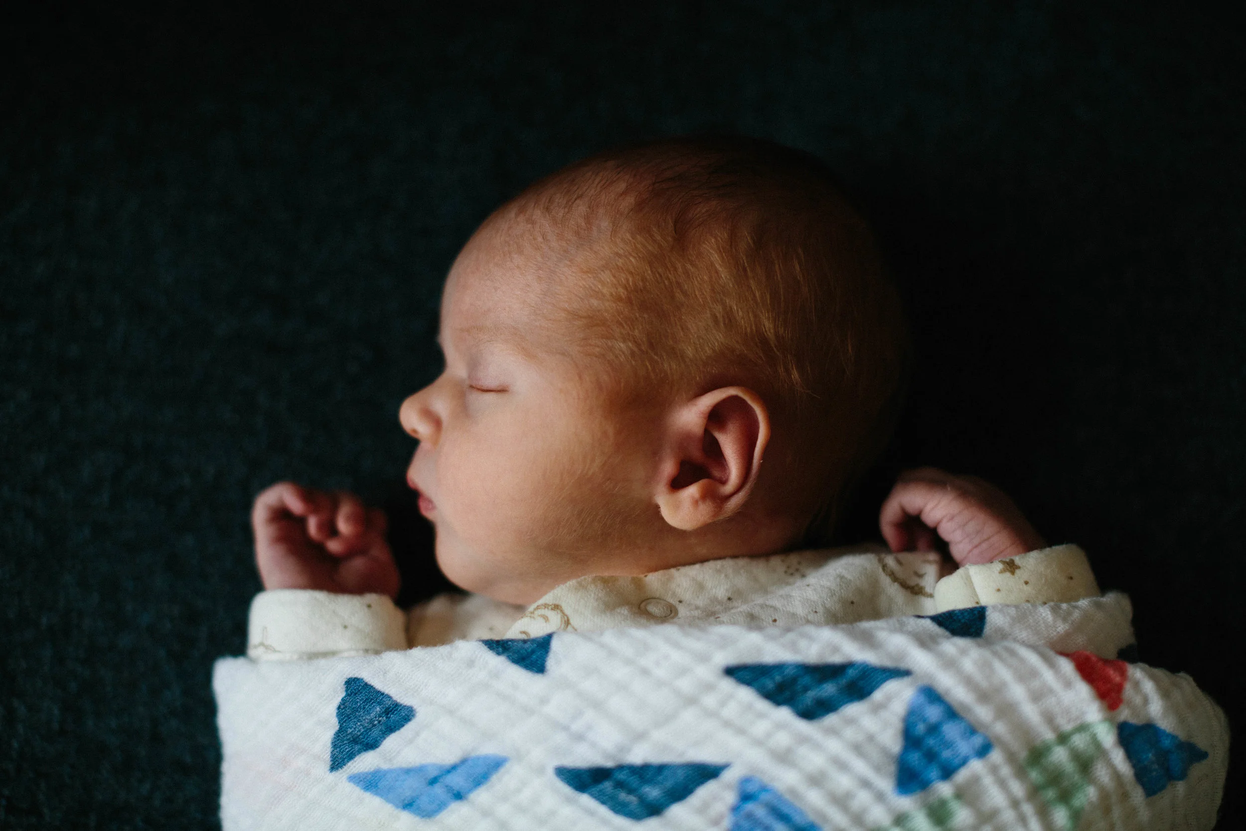 baby angus-3.jpg