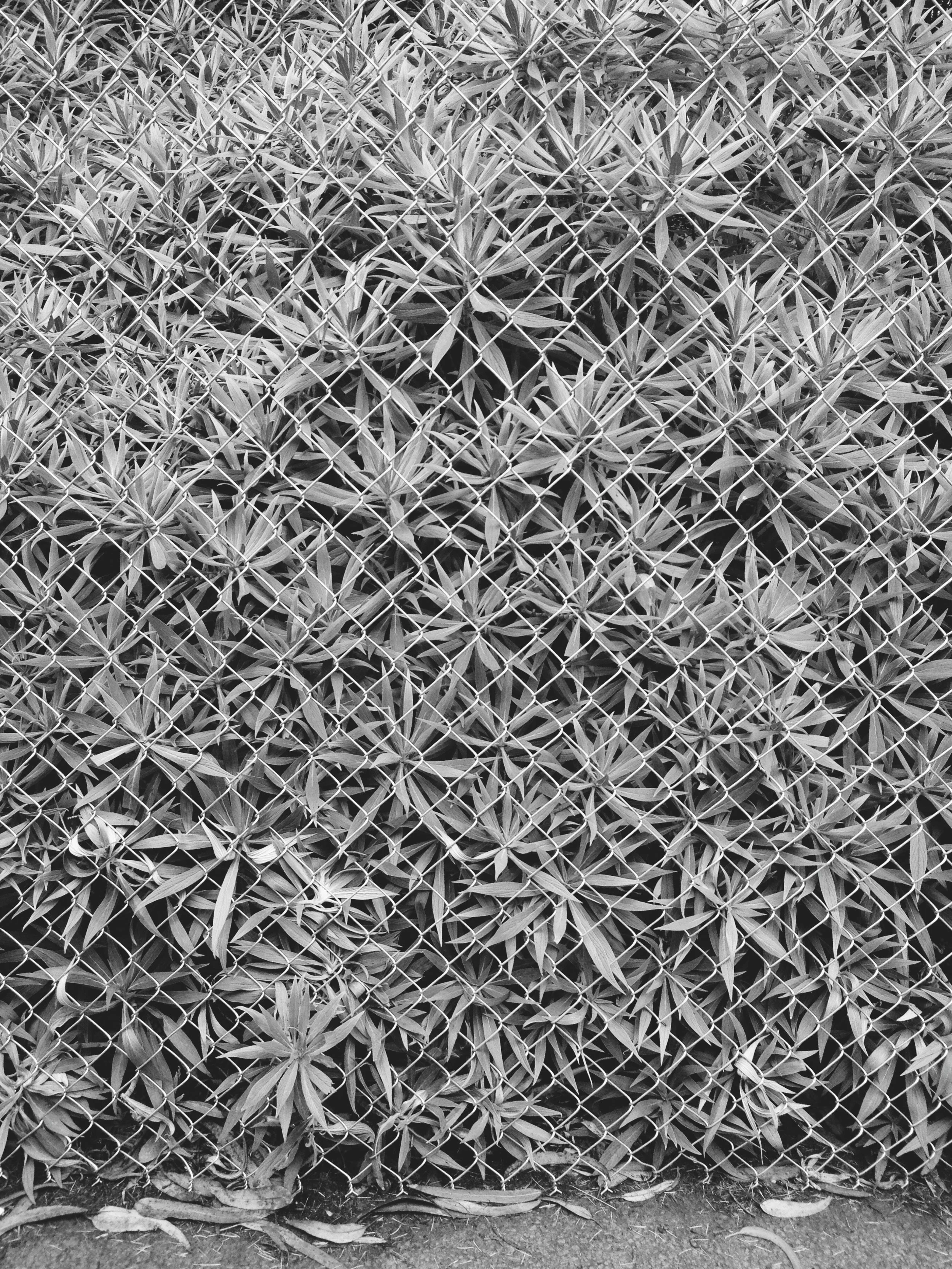 Copy of 080913_0884.JPG