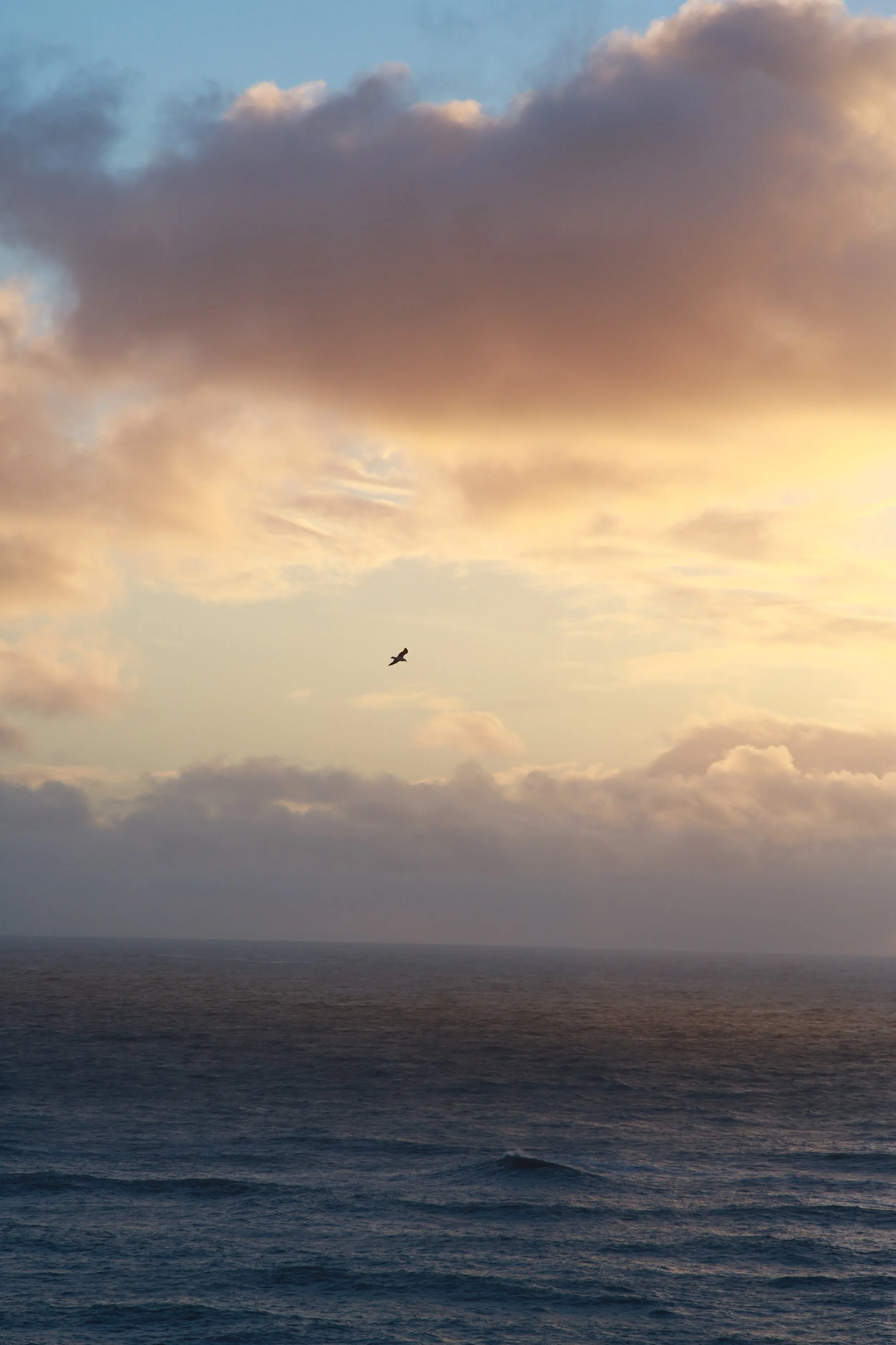 Copy of 1226_2094.JPG