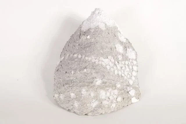 Yl5m1MH1UnJh5BJX.jpg