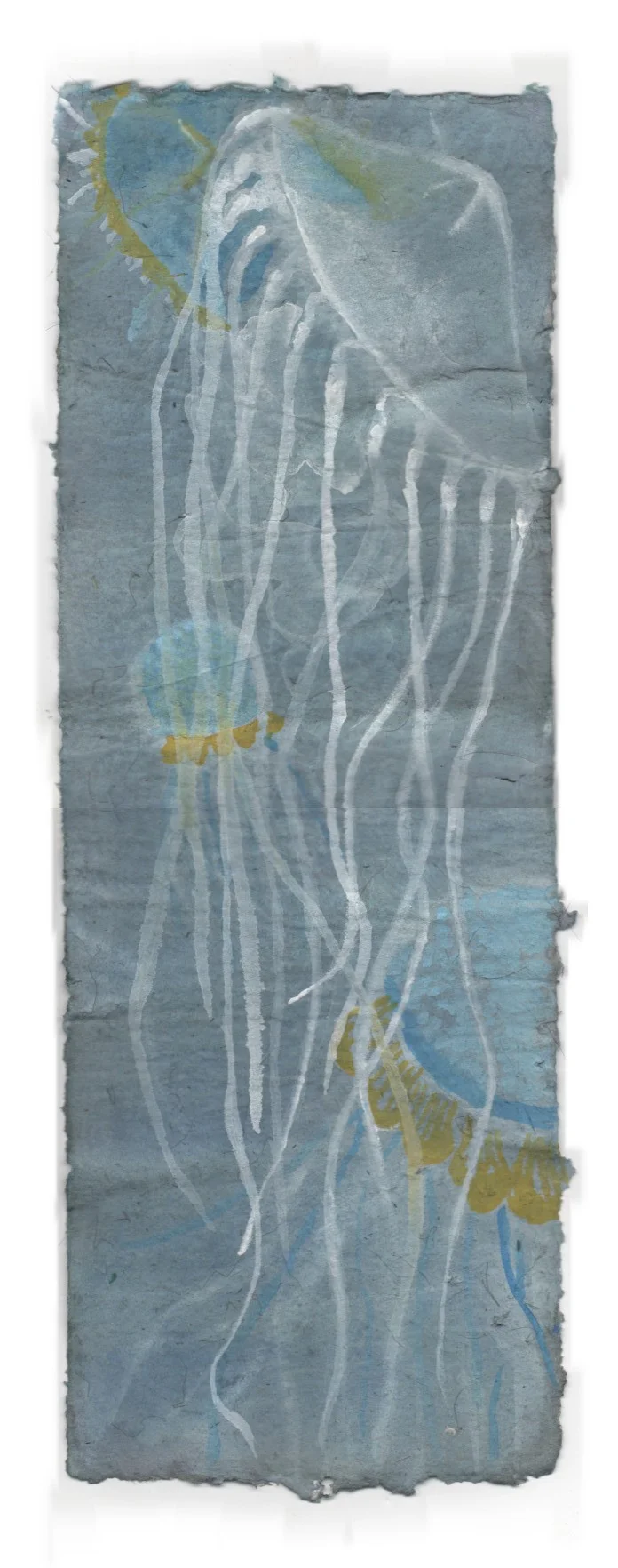 Jellyfish 1