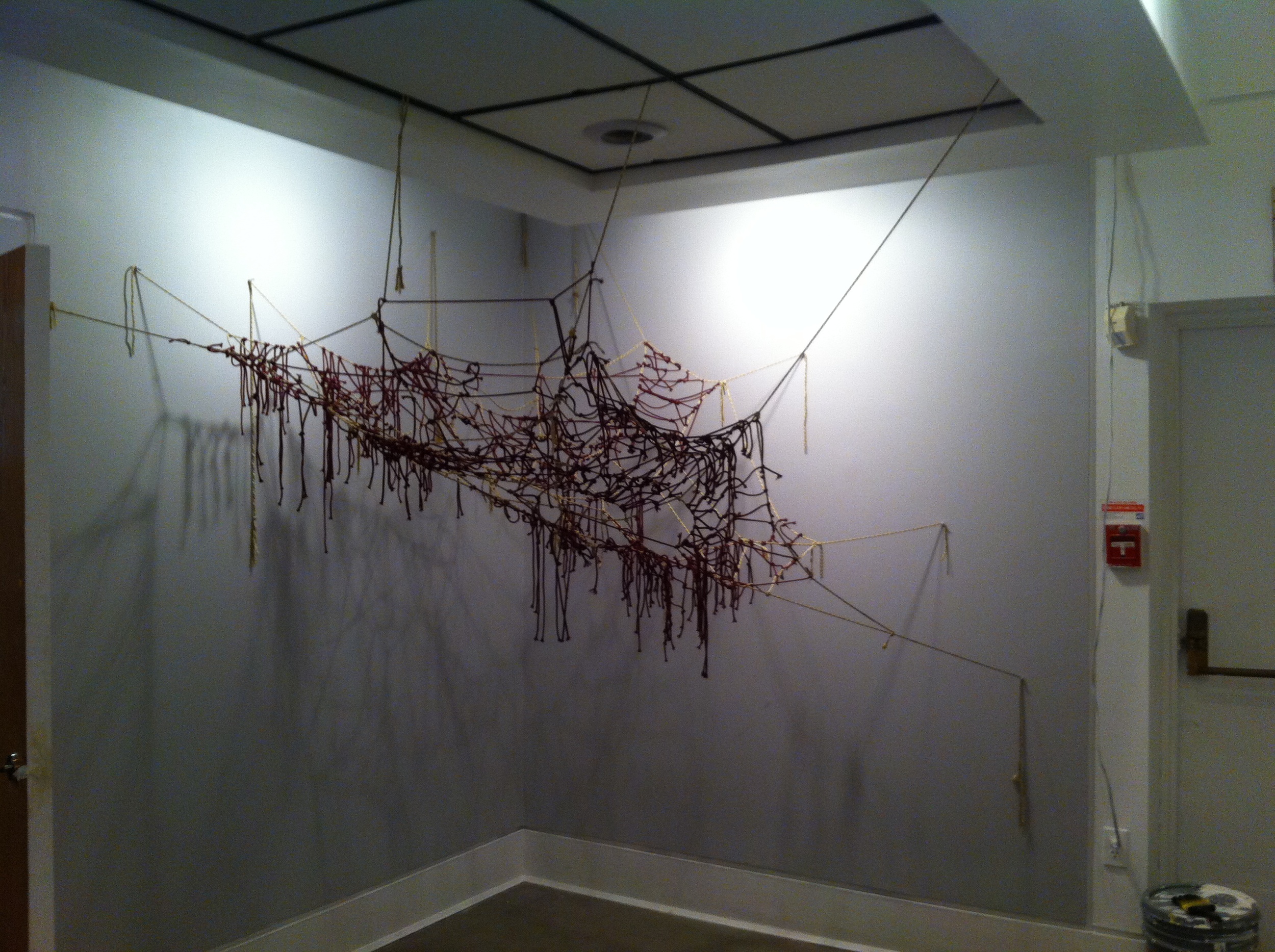 Connections Web