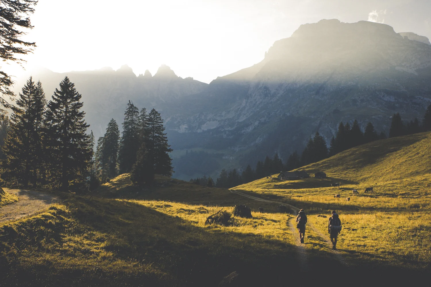 Travel-1.jpg
