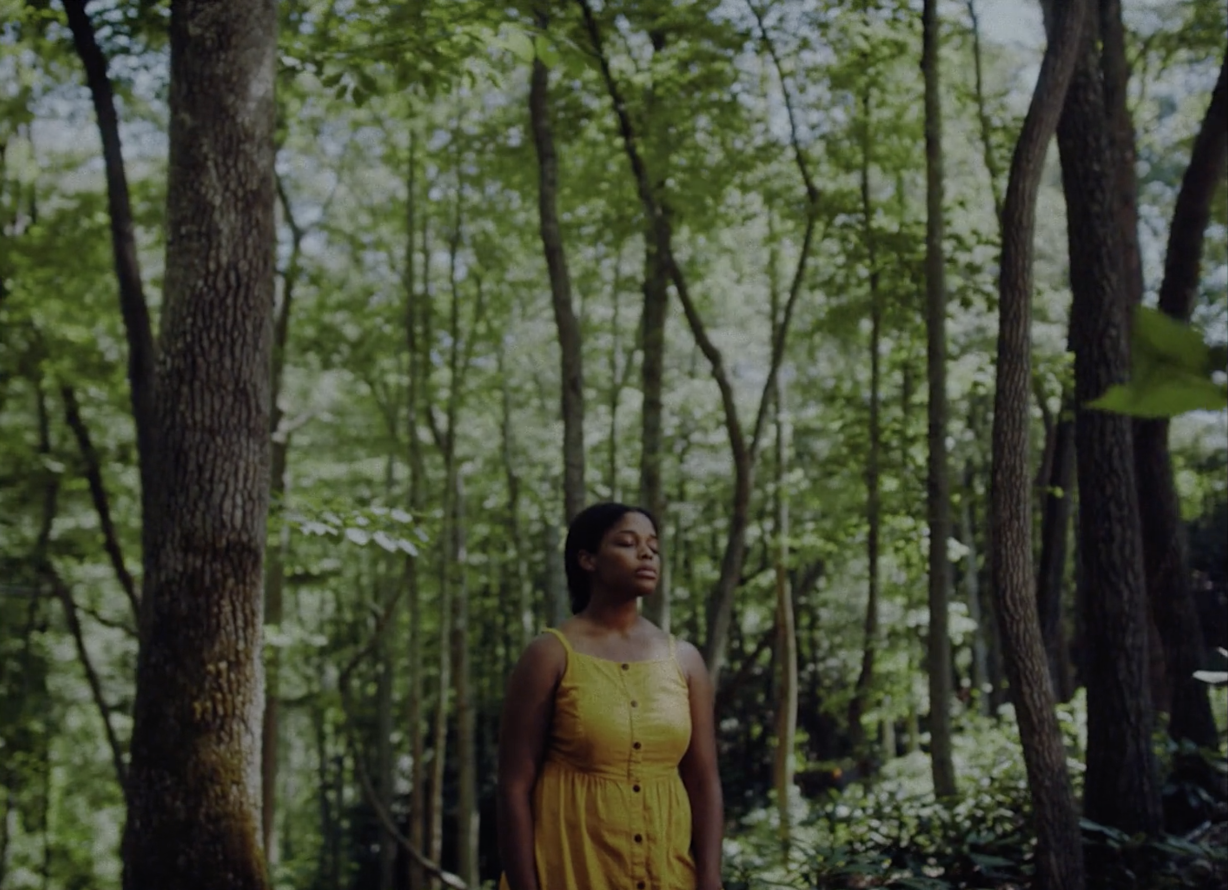 Screen Shot 2021-01-28 at 10.09.55 AM.png