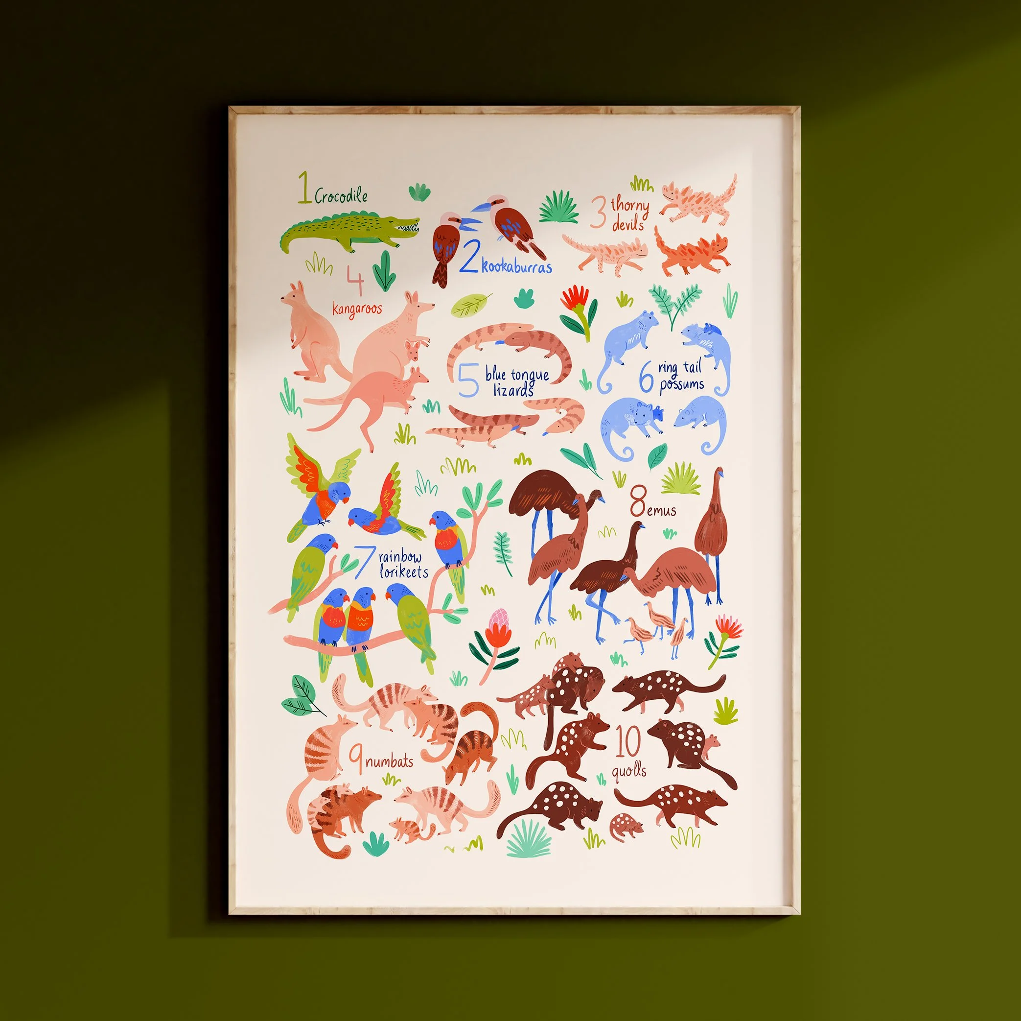 123-Australian-Animals---Colour-BG.jpg