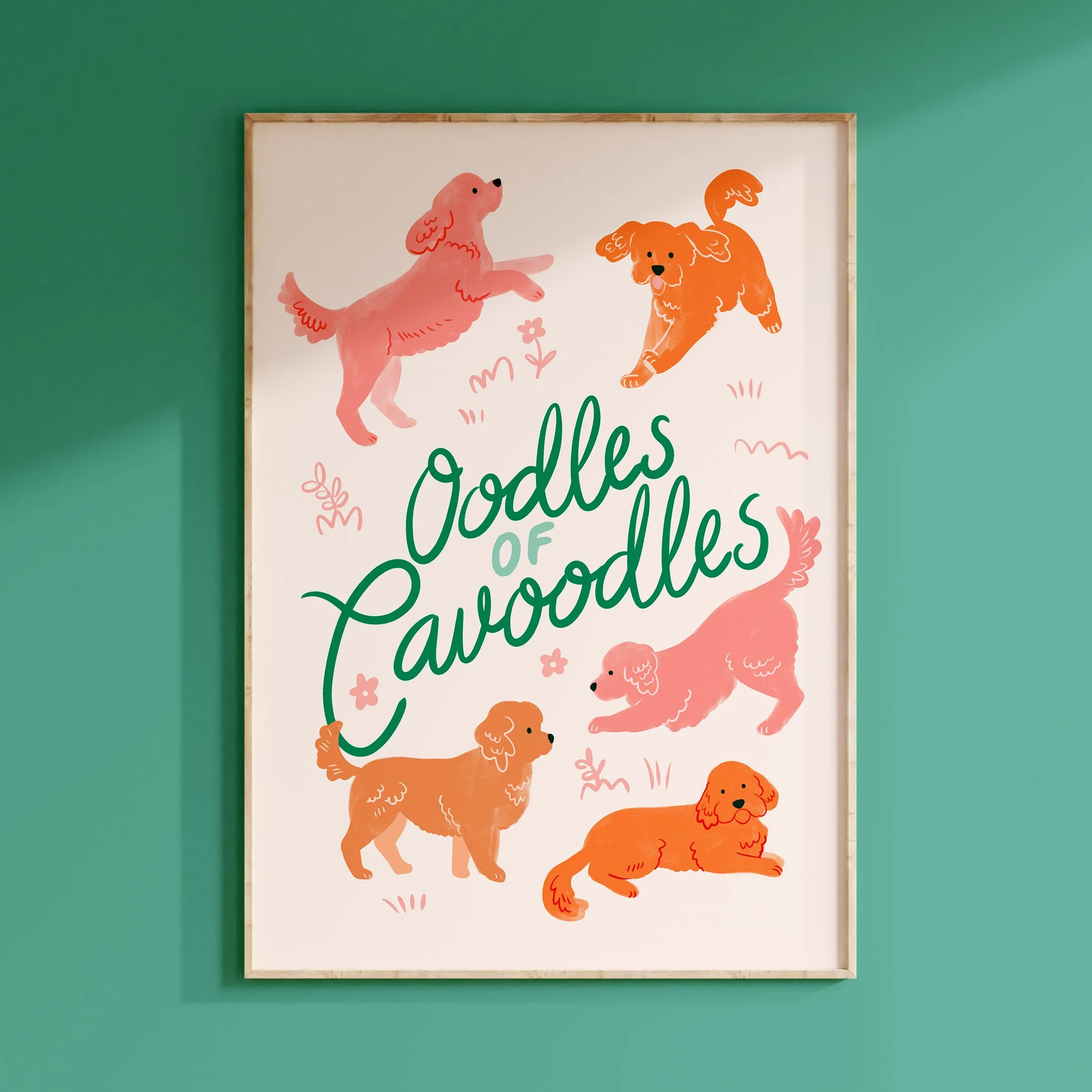 Cavoodle---Colour-BG.jpg