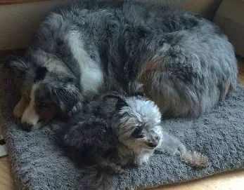 Halo (the little one!)