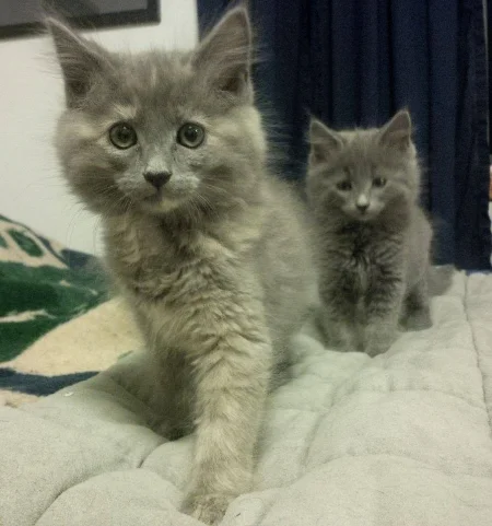 Storm and Ballou stalk the camera