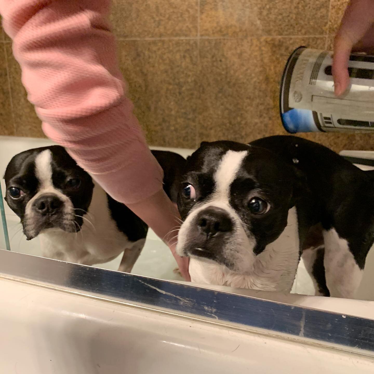 The boys weren&rsquo;t thrilled about surprise bath night.