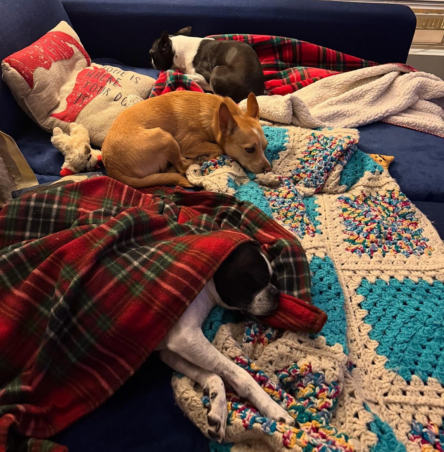 The boys had a wild Saturday night in this weekend with a visit from their bestie, Billie.