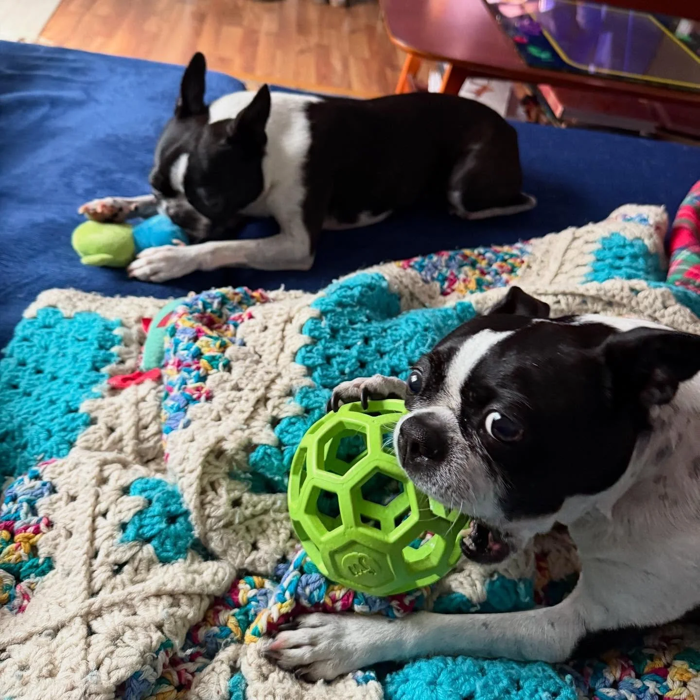Brothers enjoying some playtime together, miraculously with separate toys.