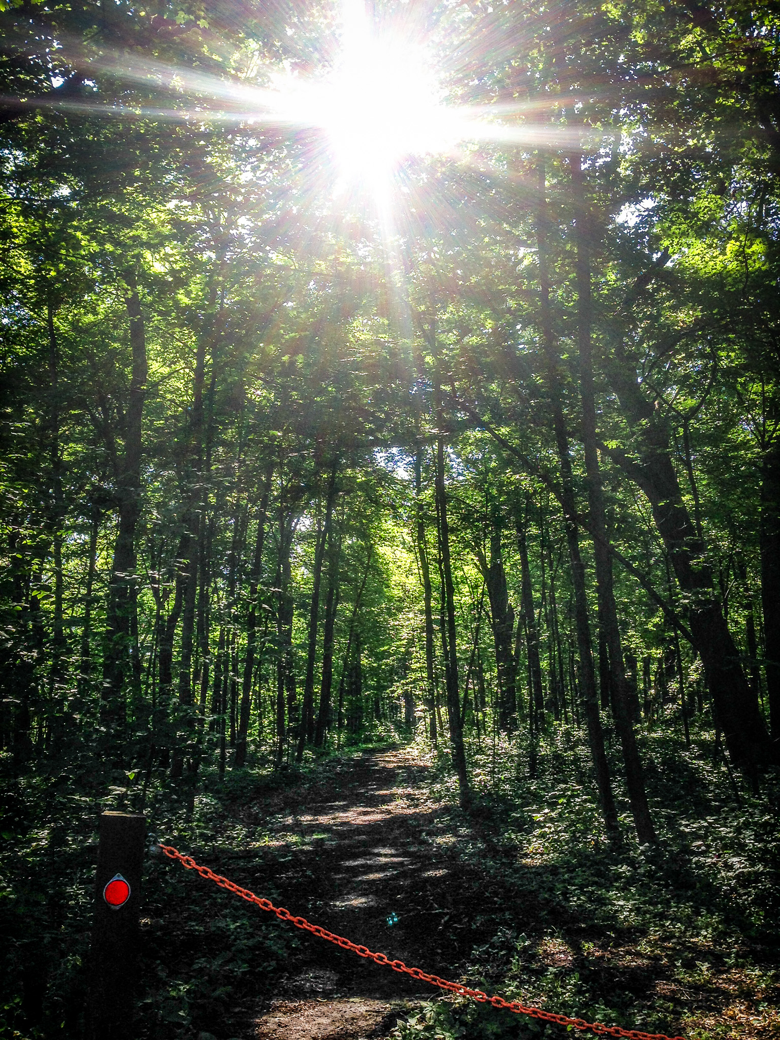 I love the red chain protecting the trail from cars