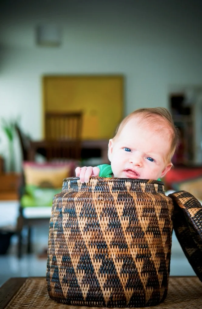 baby in basket Newborn photoshoot Bokelicious Photography