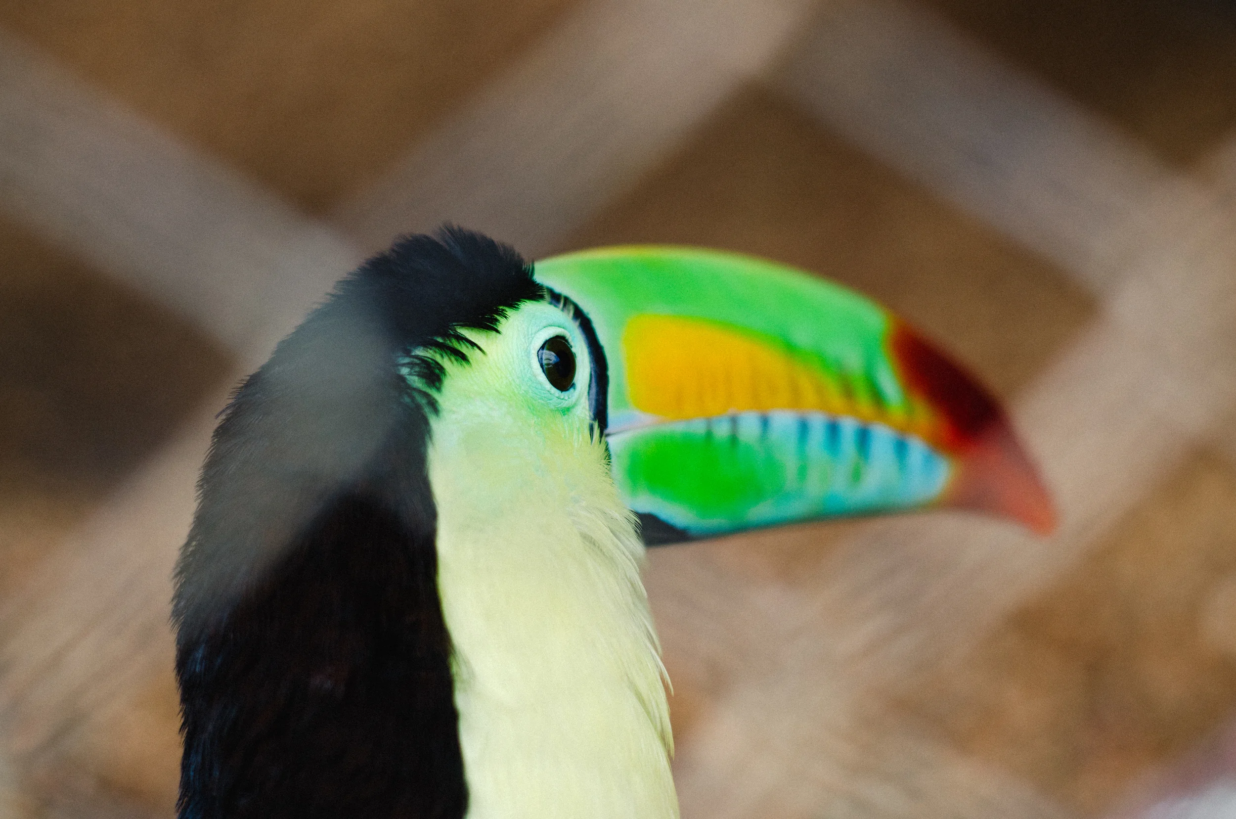 DSC_0150.jpg