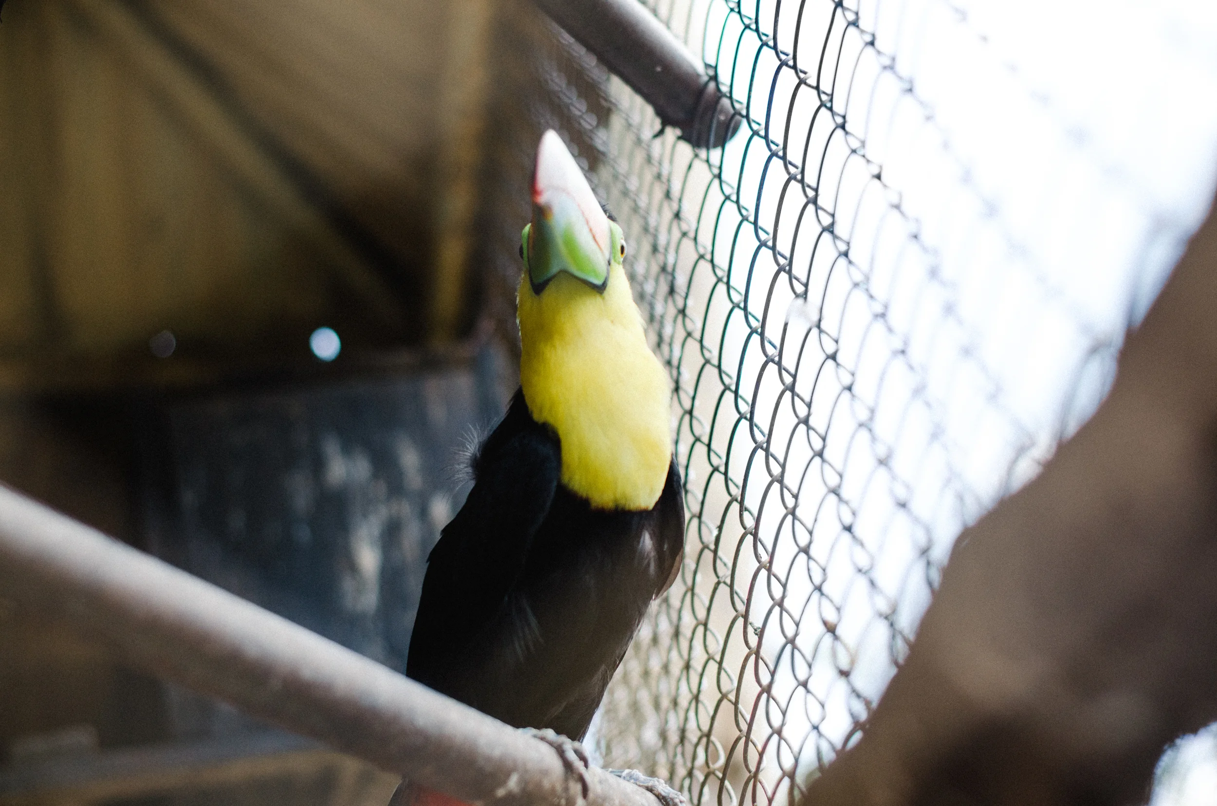 DSC_0138.jpg