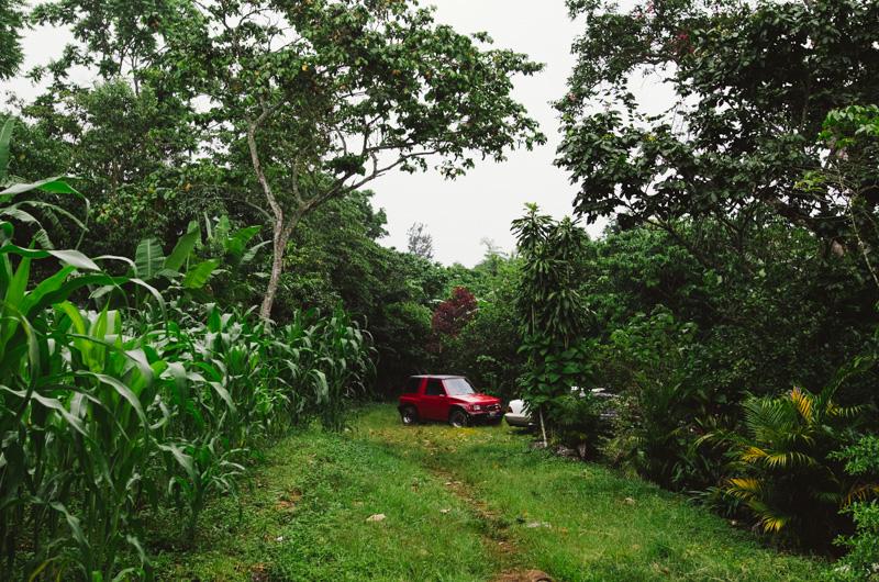 DSC_0329.jpg