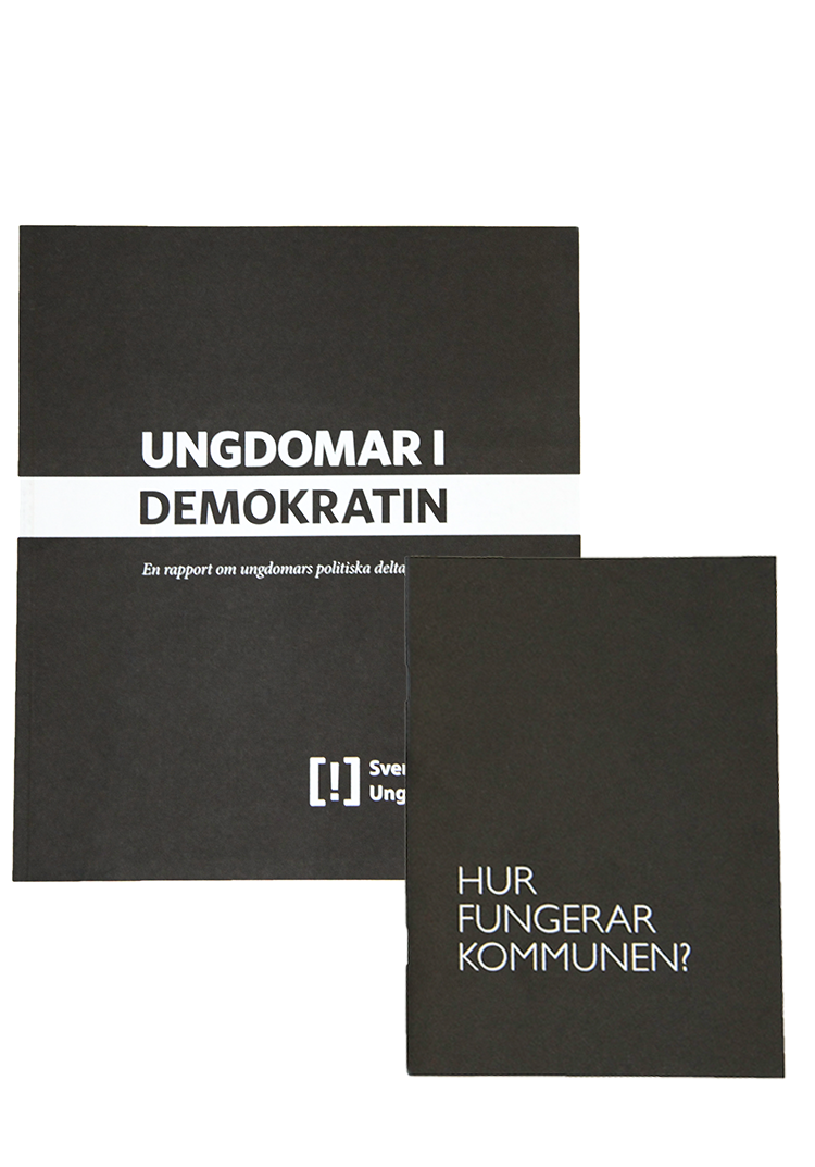 Rapport-Ungdomar-i-demokratin_2.png