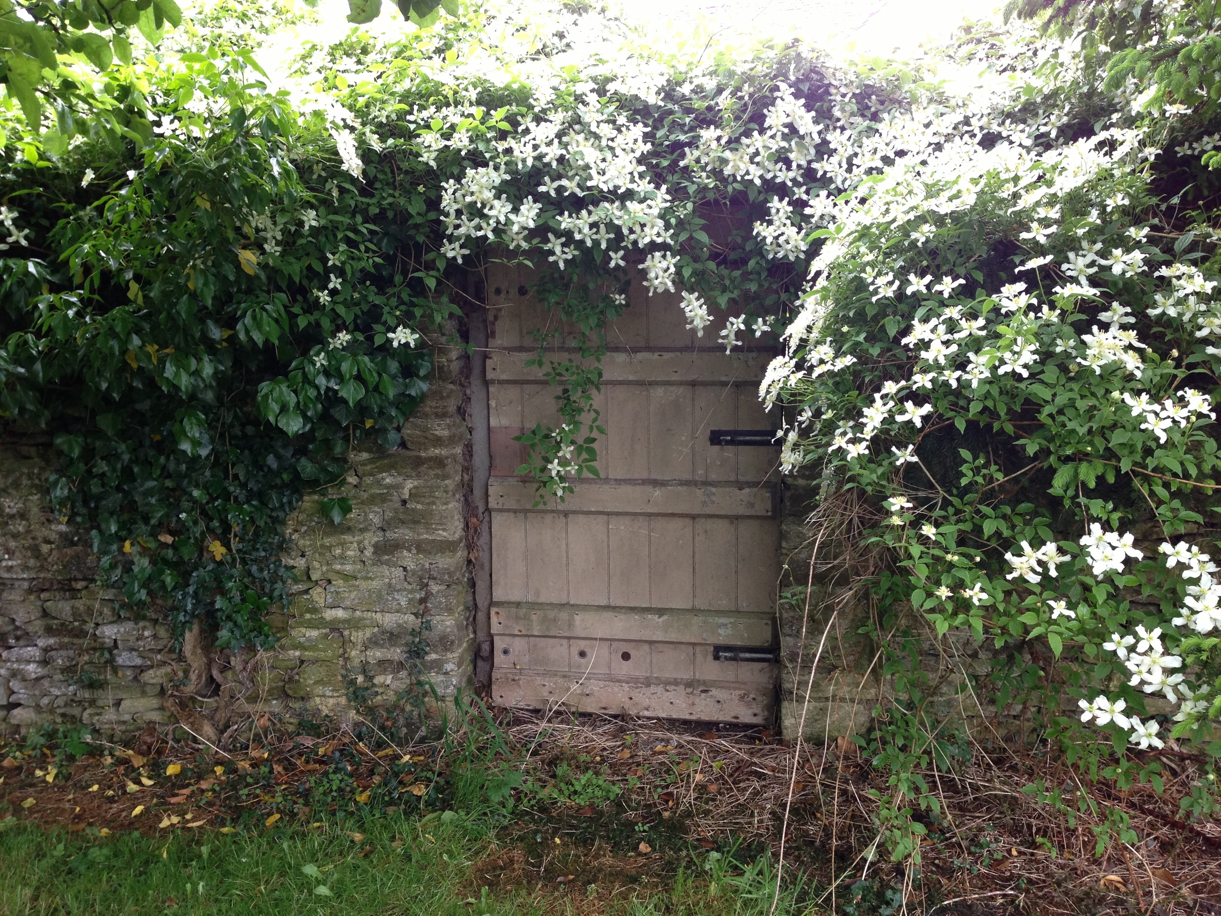 A secret door in the garden at Mays Farm