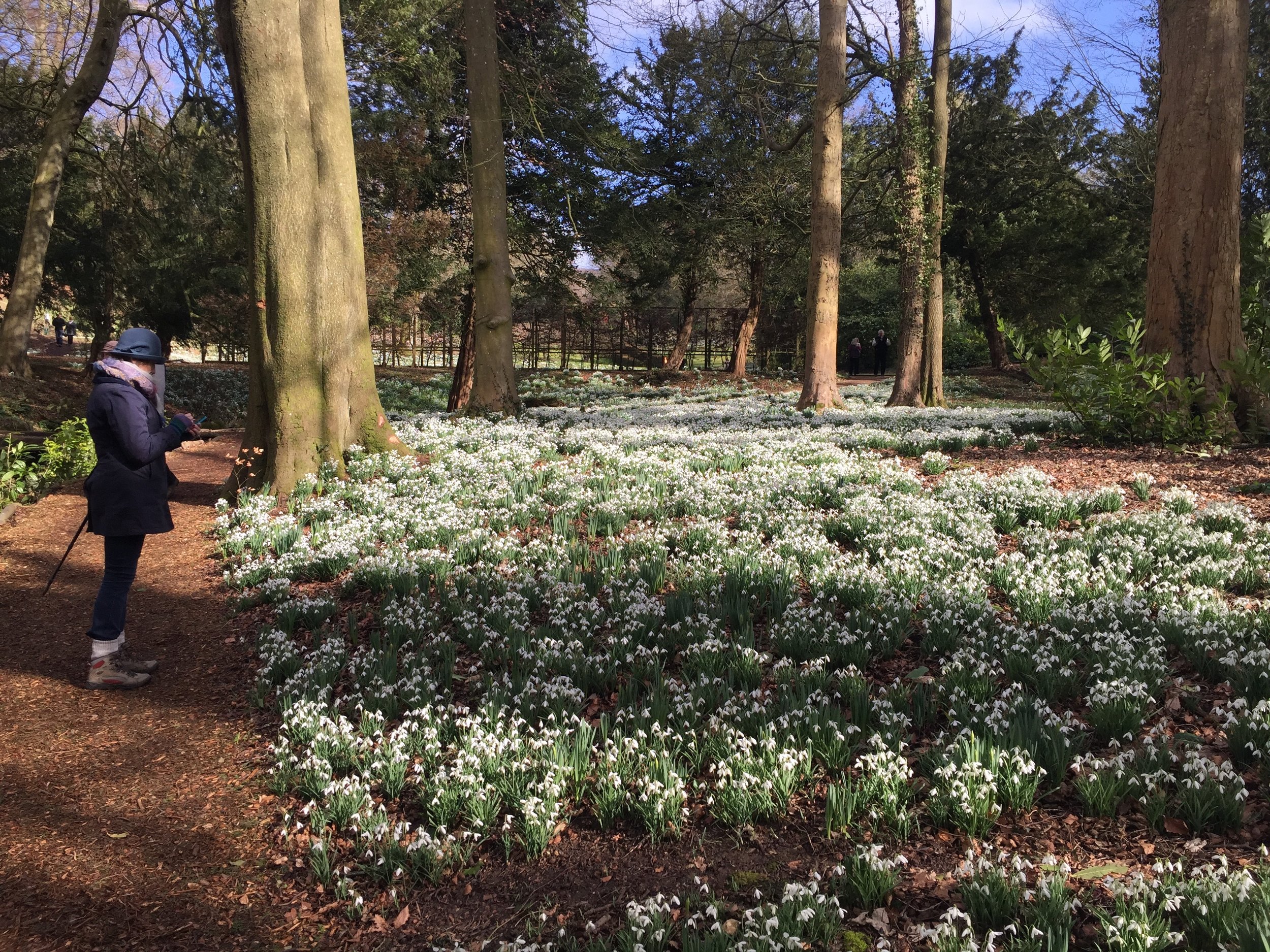 Painswick - the Rococo Gardens