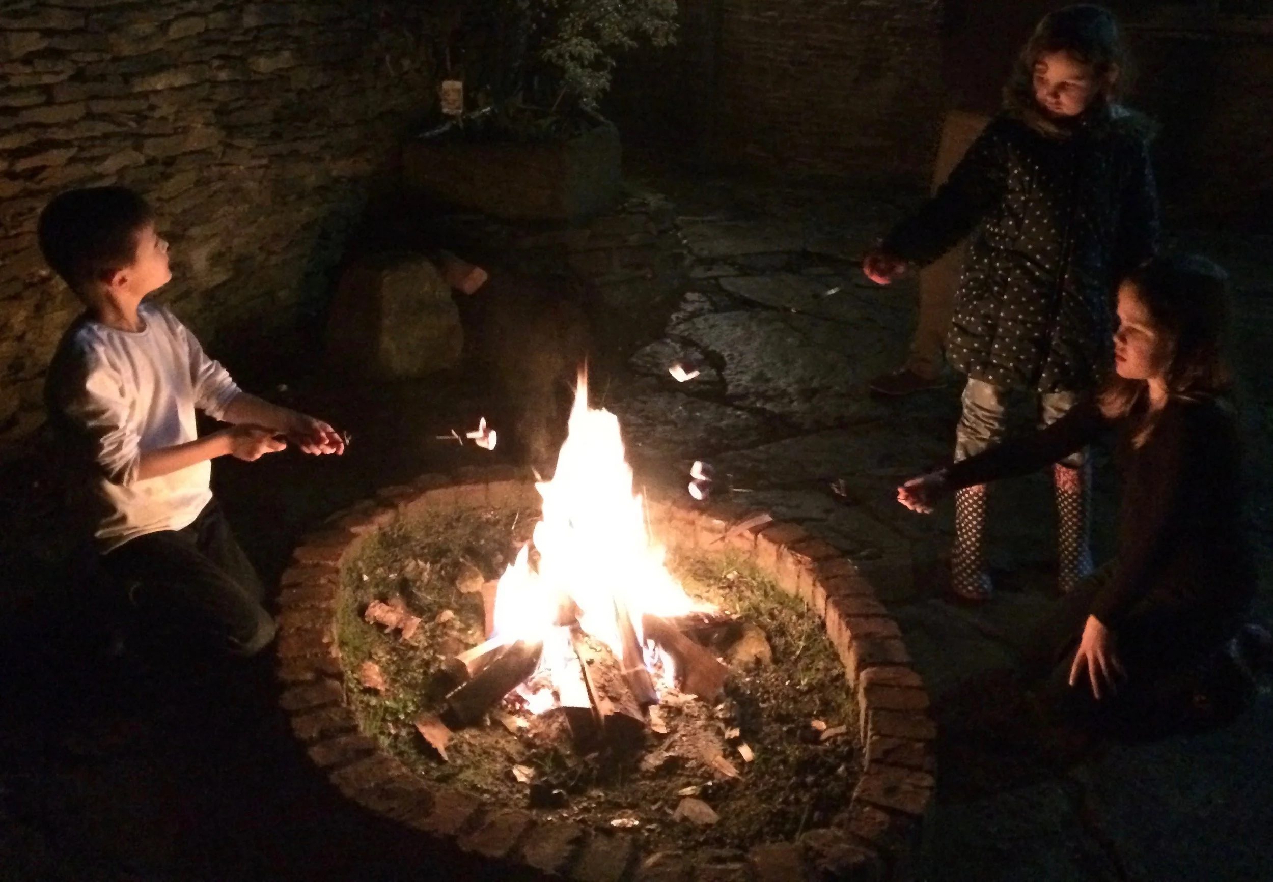 S'mores with the family