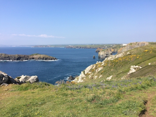Mullion.