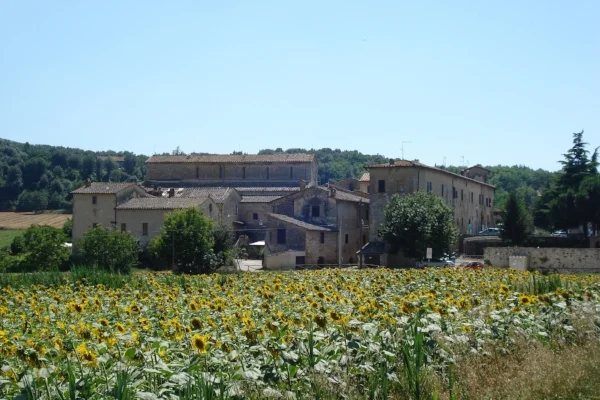 Abbe di Isolda, on the road to Monteriggioni (Walk part one)