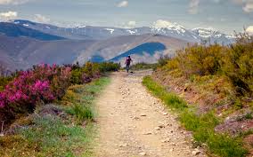 Walking in the Tyrol