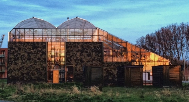vsco-photo-1.jpg