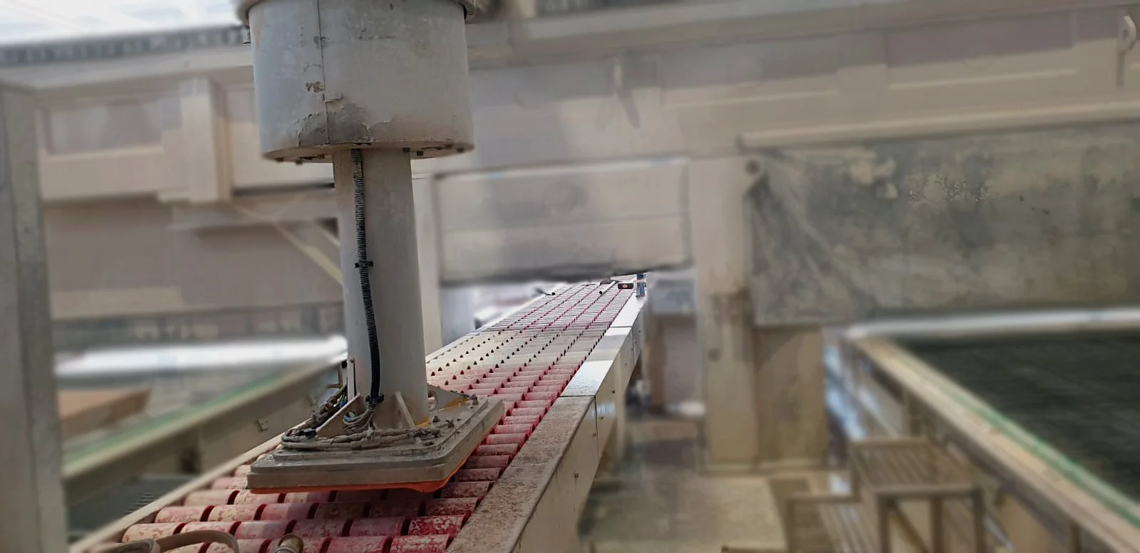 Stone Picker 3D 5(tratado).jpg