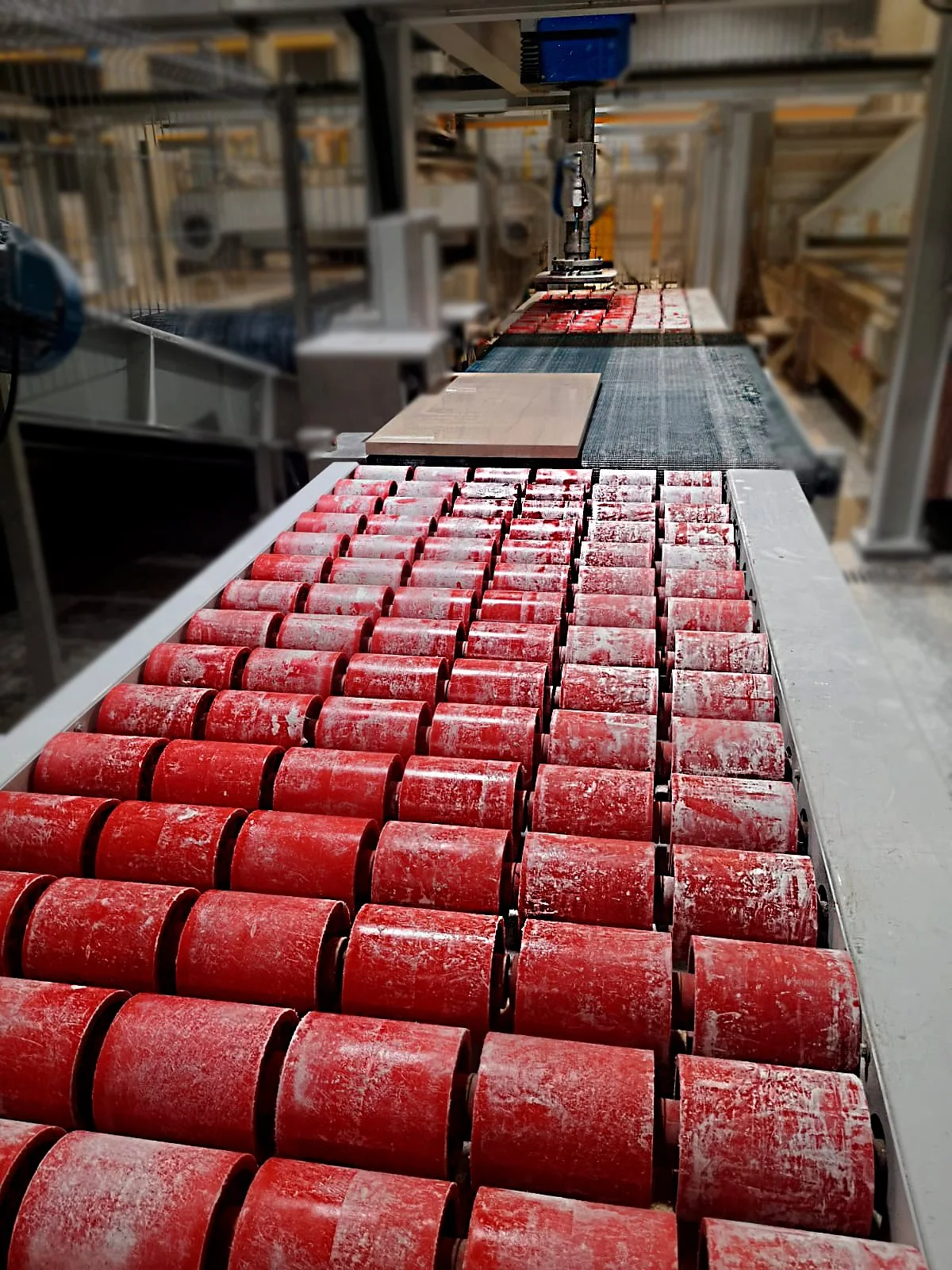 Stone Picker 3D 2(tratado).jpg