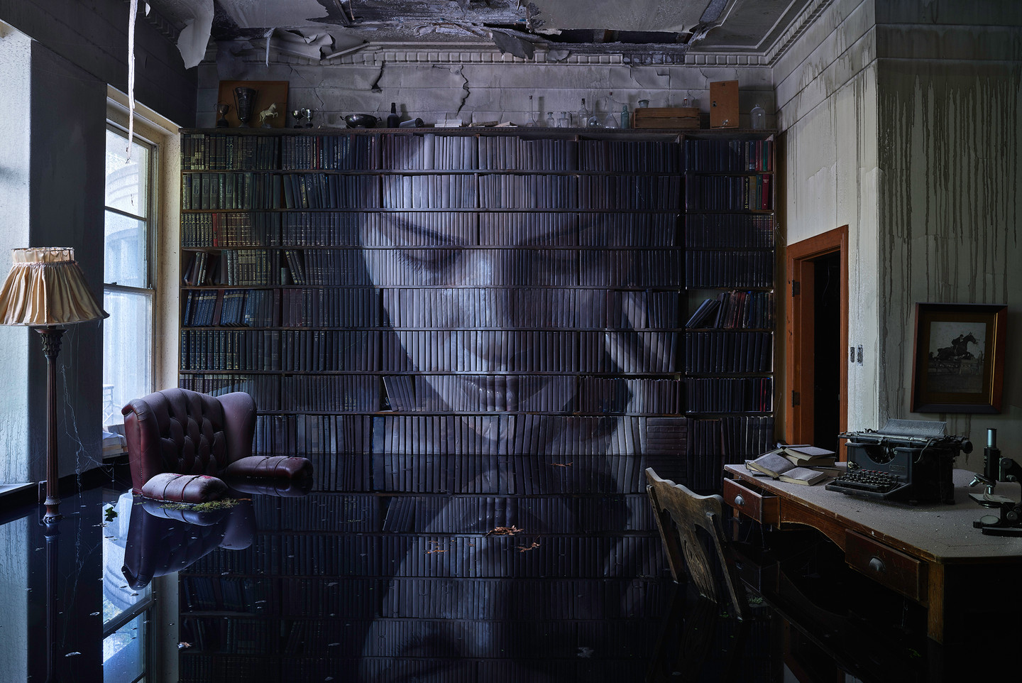 The Study