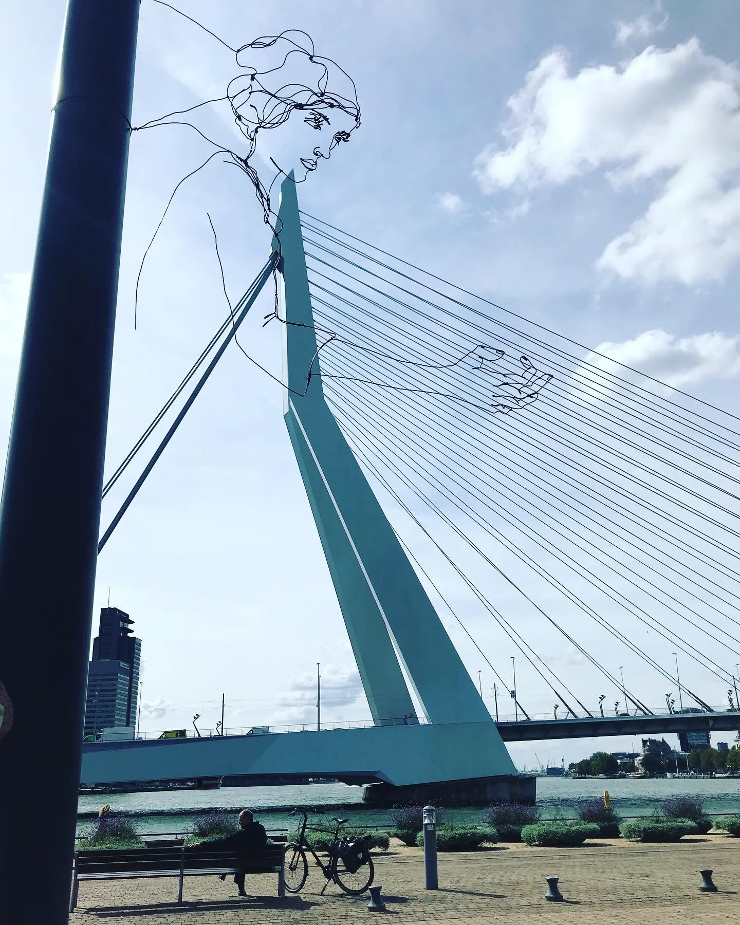When A Bridge Plays Harp