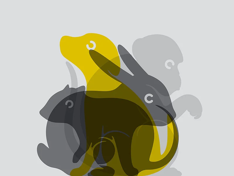 Ilustra-01 copy.jpg