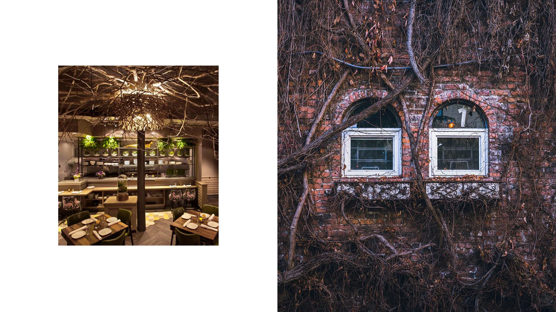 accor-hotels-cipo-branding-03.jpg