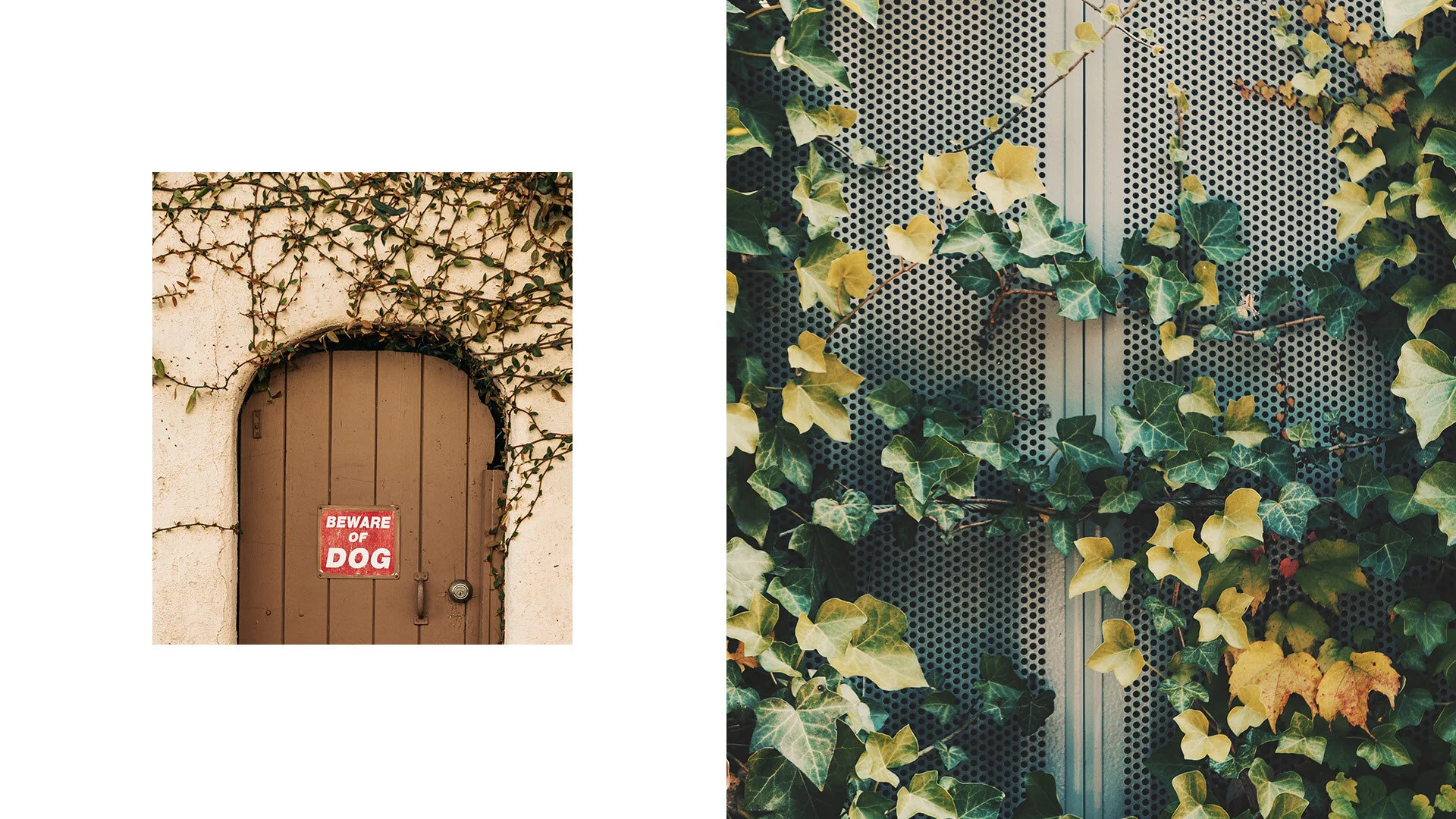 accor-hotels-cipo-branding-04.jpg