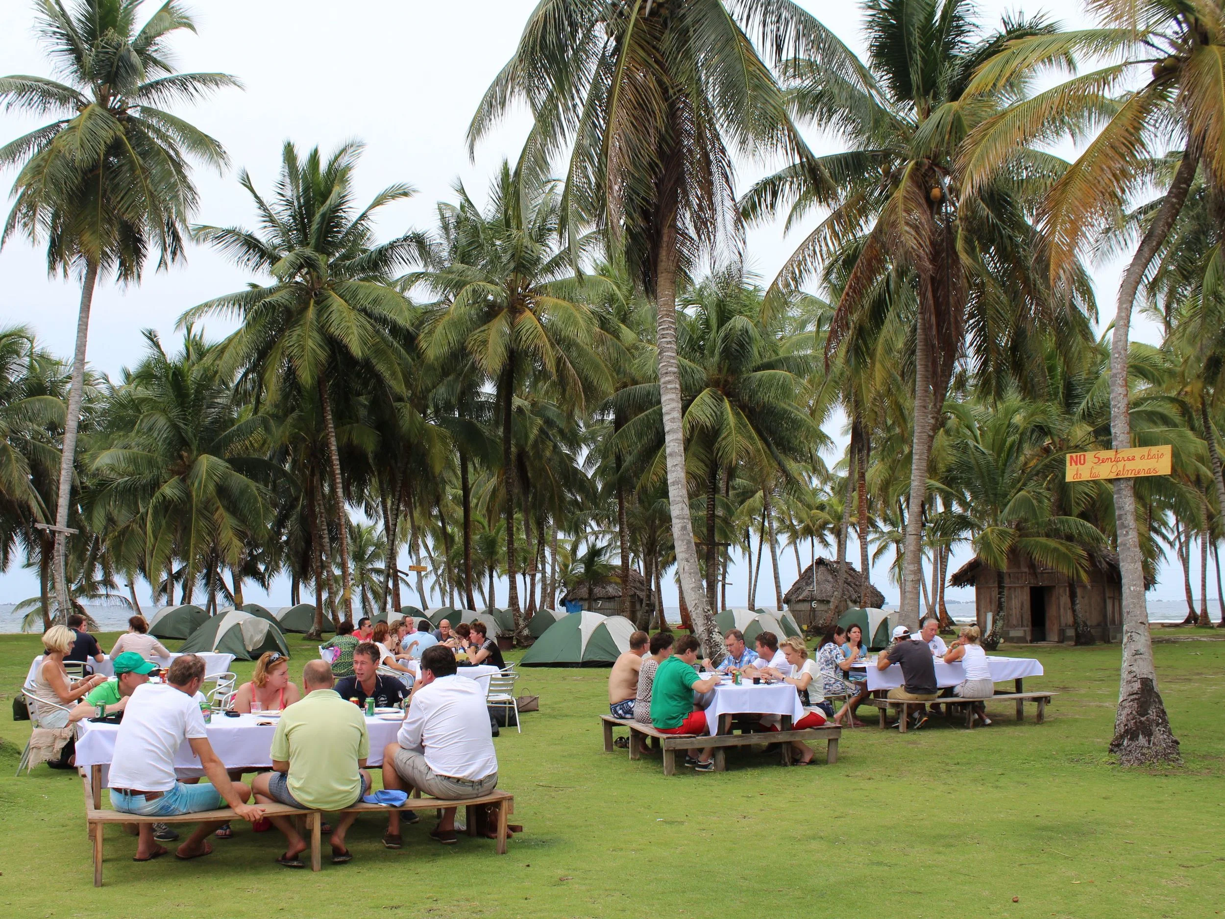 panama_lunch_palmen_1500.jpg
