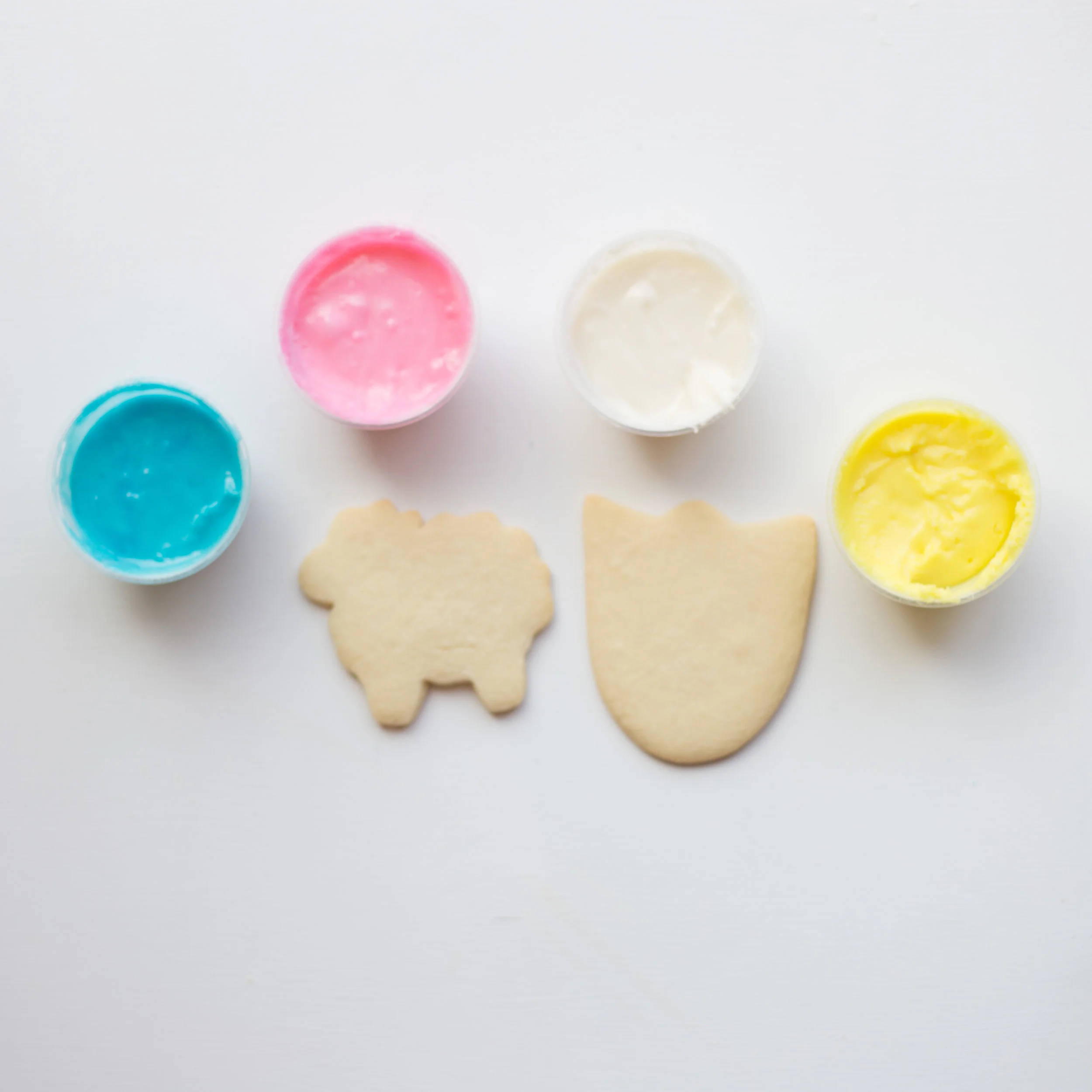 Spring Cookies-3.jpg