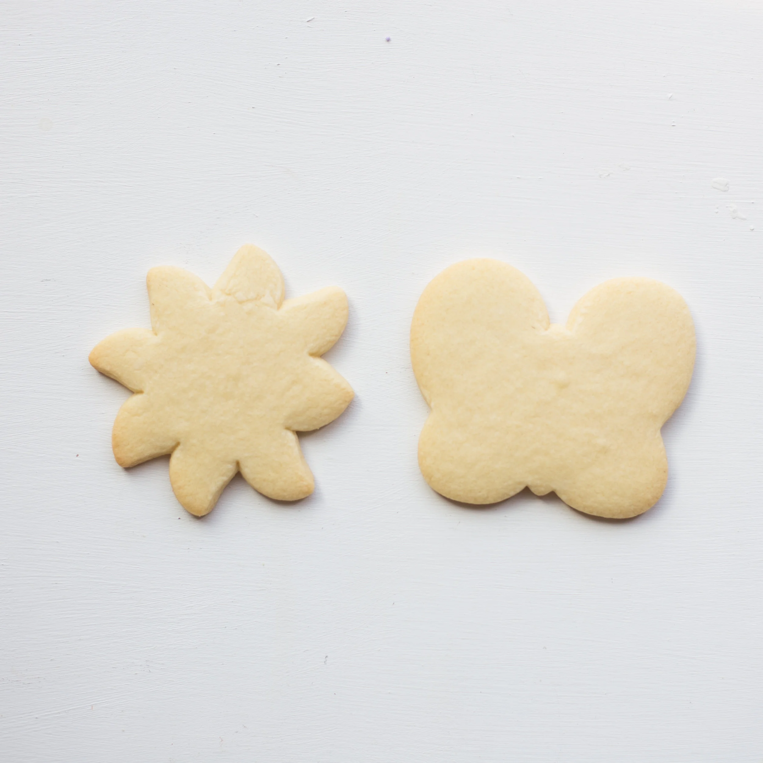 Summer Cookies-3.jpg