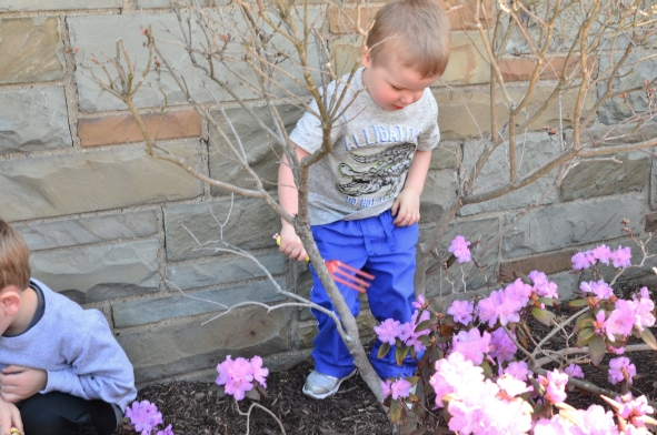 daycare 4.24.14_15599.JPG