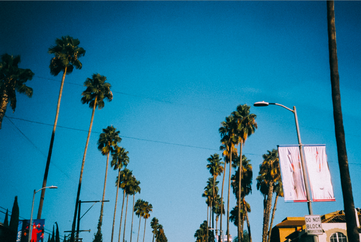 Screen Shot 2020-01-08 at 9.53.01 PM.png