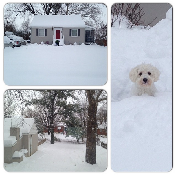 @laurenccundiff First big snow in our new home!! #snOMG #sweetspots